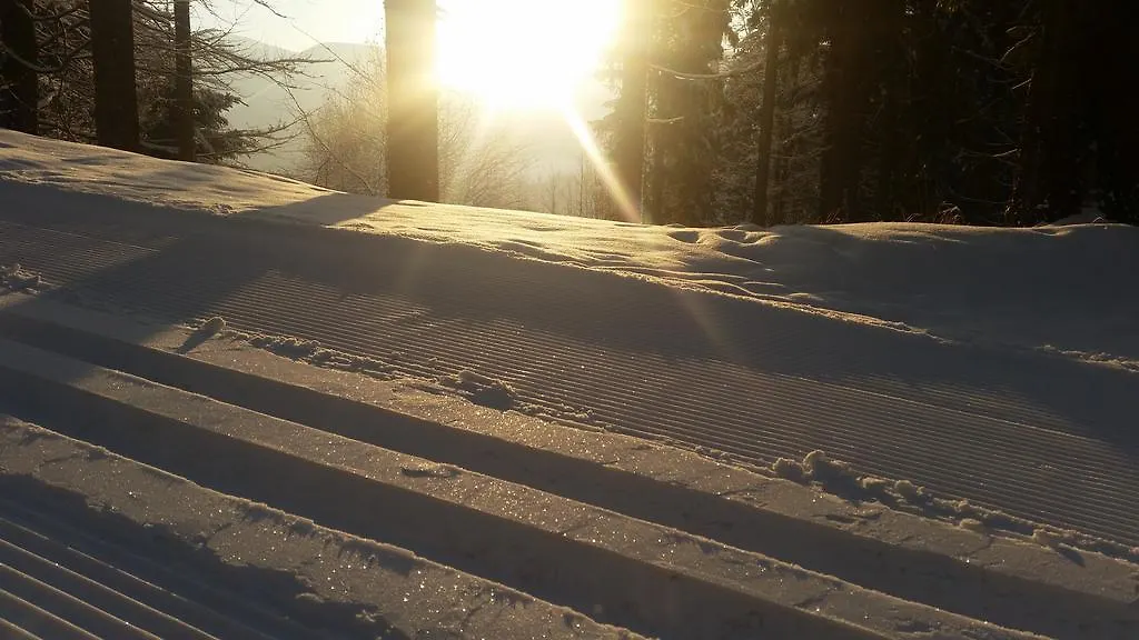 Penzion Alenka Špindlerŭv Mlýn Gasthof