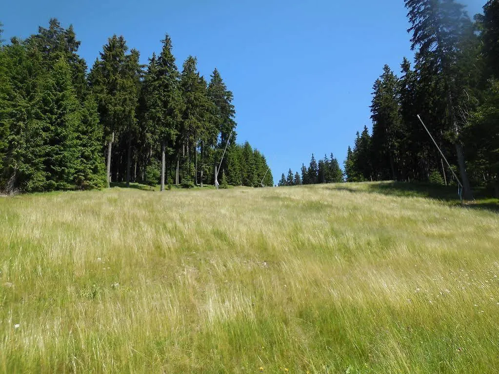 Gasthof Penzion Alenka Špindlerŭv Mlýn