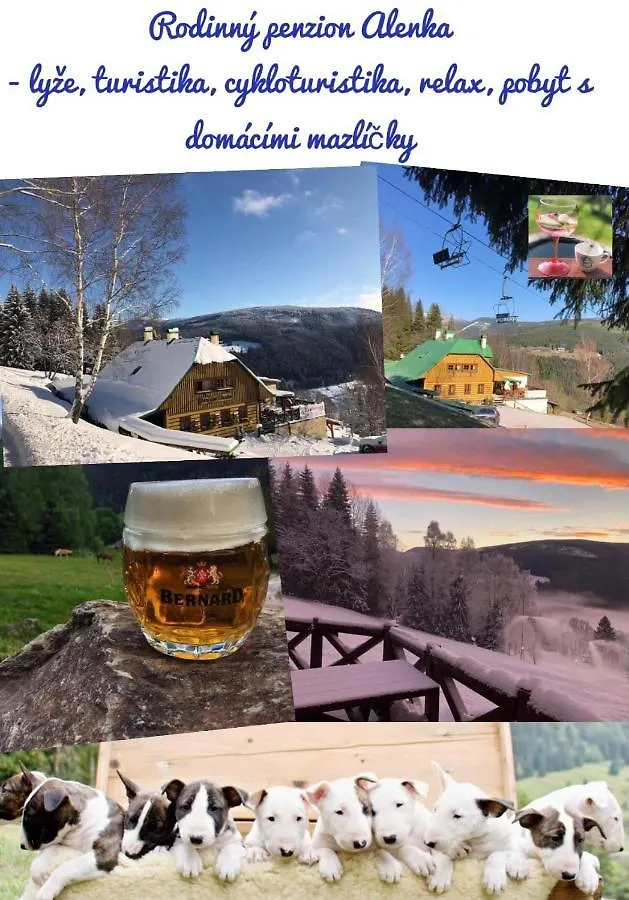 Penzion Alenka Špindlerŭv Mlýn